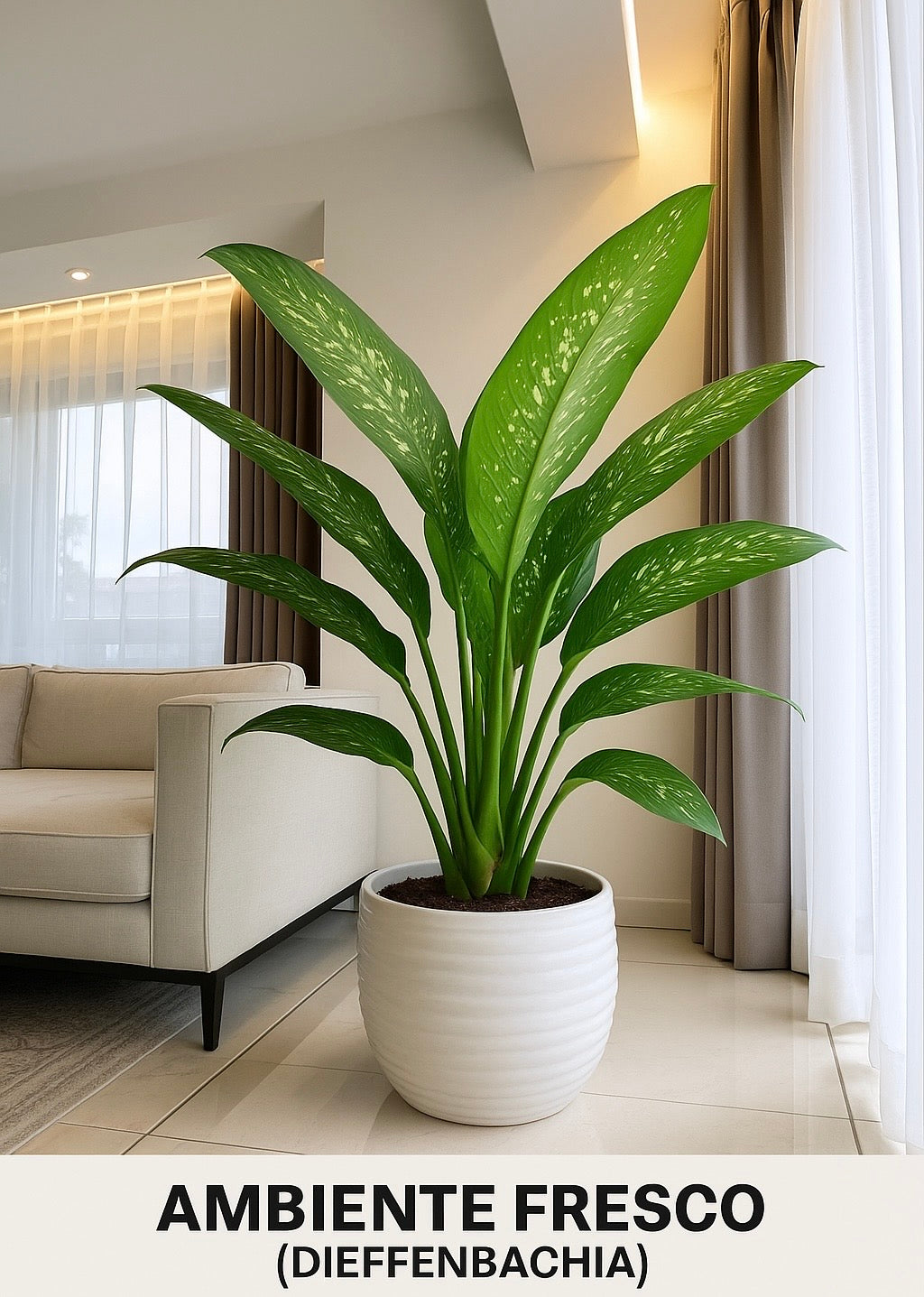 🌿 Ambiente Fresco (Dieffenbachia)