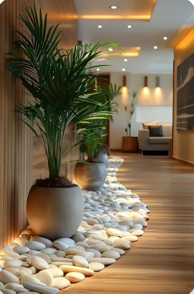 🌴 Palmera Areca – Un toque tropical todos los días.