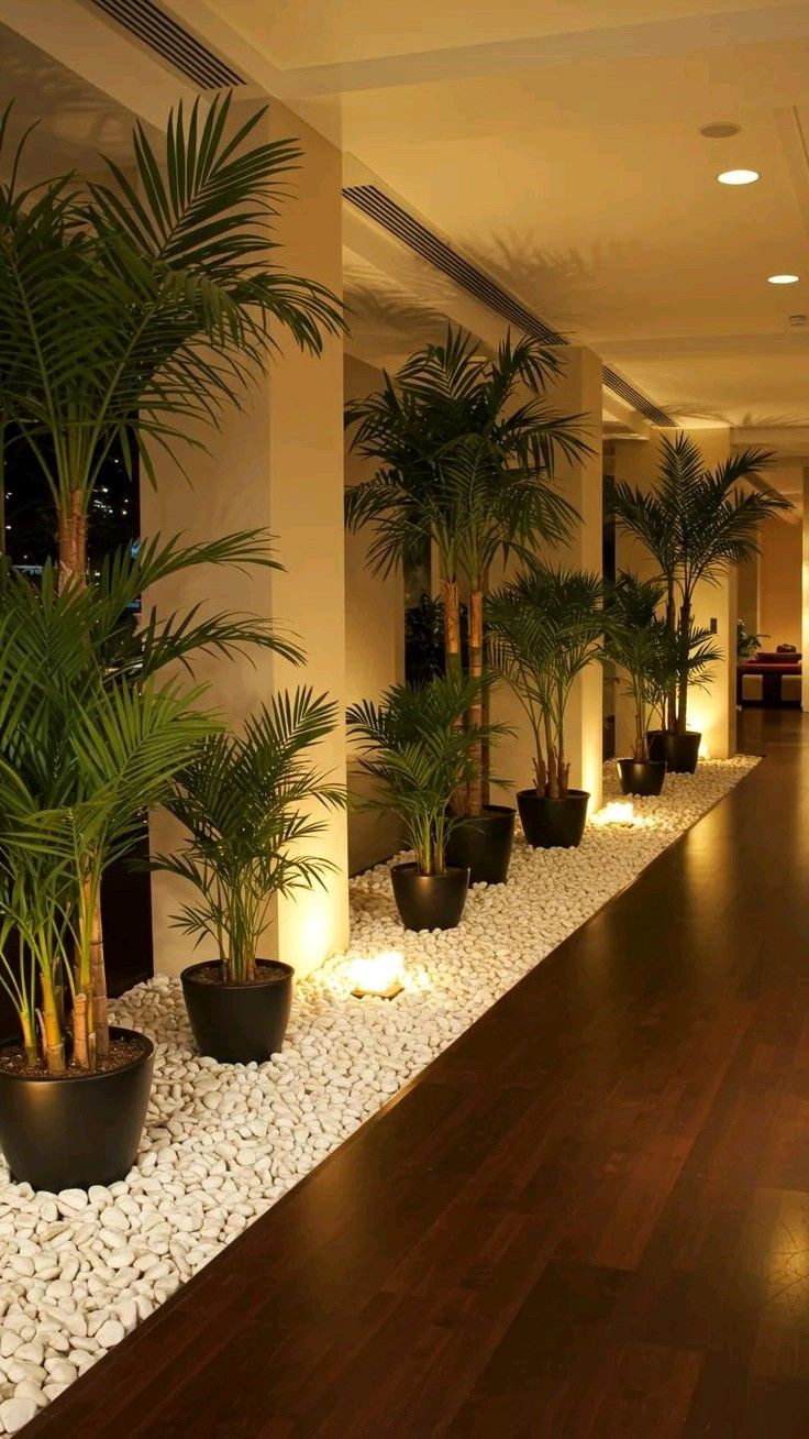 🌴 Palmera Areca – Un toque tropical todos los días.